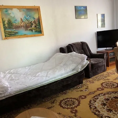Casa Ani Borsa (Maramures)